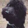 BBaker079's profile picture