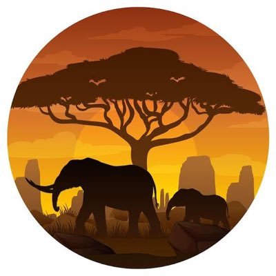 Belgesele Dair's profile picture