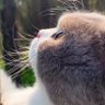 Nobi profil fotoğrafı