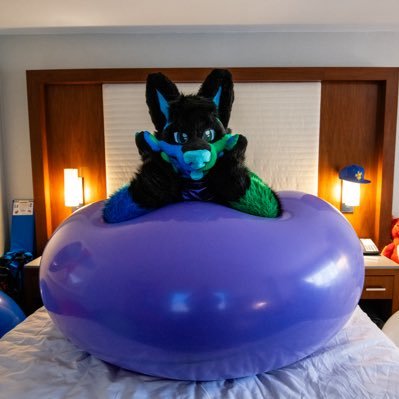 StickyCandyWuff's profile picture