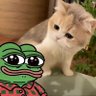 Apu and Kitty's profile picture