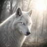 Фото профиля Wolf Carnated𓆩𓆪