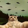 zum's profile picture