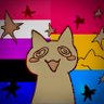 Pandita profil fotoğrafı