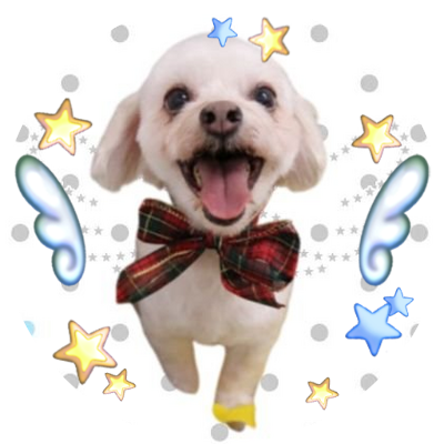 kyon7777787's profile picture