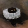 Profilbild von C K