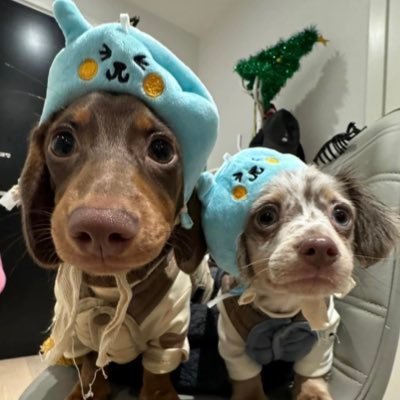 wdqhc8888888's profile picture