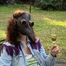 Carol Reed's profile picture
