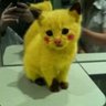 Sabs's profile picture