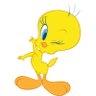 Stem Racine's profile picture