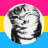 Profilbild von Ponyni
