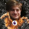 Nathaniel 🐯's profile picture
