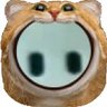 Painfulguy10's profile picture