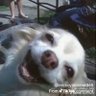 ForGiveMe 的头像