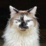 Matthew's profile picture