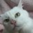 ふゆちゃん profil fotoğrafı