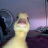 Profilbild von facsure ★彡