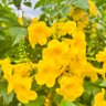 Фото профиля Jumo