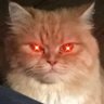 SoleRider's profile picture