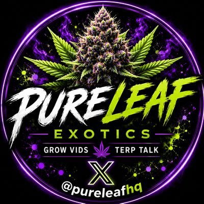 PureLeafHQ's profile picture