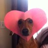 xozxc's profile picture