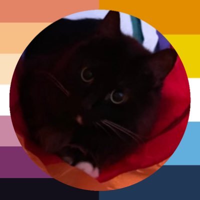 bakujok3s's profile picture