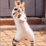 A_besar's profile picture
