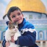 Profilbild von أحمد الهاشمي