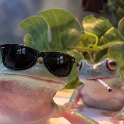Sprout_boy2's profile picture