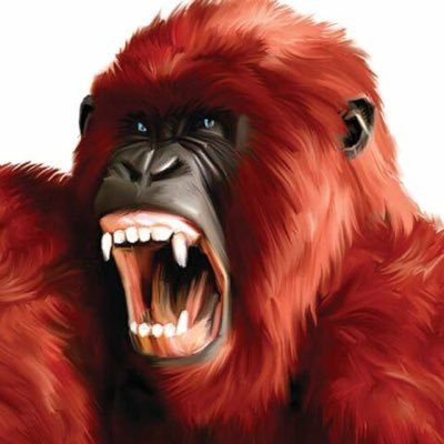 QUAN's profile picture