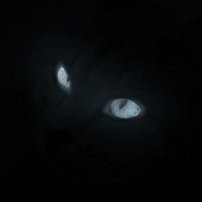 Delafnbr's profile picture