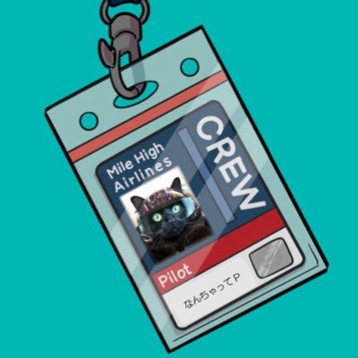 nancyattepilot's profile picture