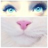 ve 的头像