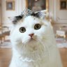 Nobu®︎'s profile picture
