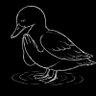 Profilbild von Ducky