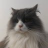 . profil fotoğrafı