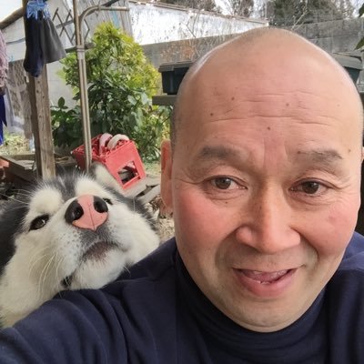 テンちゃん😊ゴンちゃん's profile picture