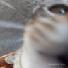 Profilbild von Mad_dE-X-T-A-S²★