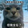 陈无敌's profile picture