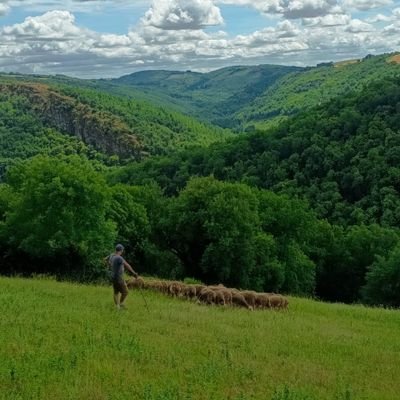LoranG76's profile picture