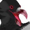 Kave 🇨🇱's profile picture