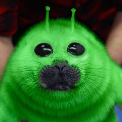 paxton/ﾊﾟｰｸｽﾄﾝ🦭's profile picture