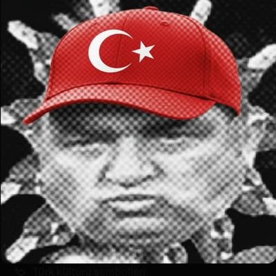 enzoterimm's profile picture