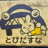 Фото профиля リメンバーミー