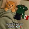 Oscar F.'s profile picture
