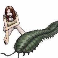 katydidposting 𓆧 (horsetail arc)'s profile picture