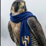 الأمبراااطور 🇸🇦 💙's profile picture