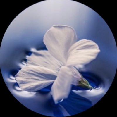 nao302198765's profile picture