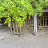 都城のくまっち 的头像