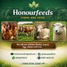 Honourfeedalways@yourservice๐ฏ ็ๅคดๅ